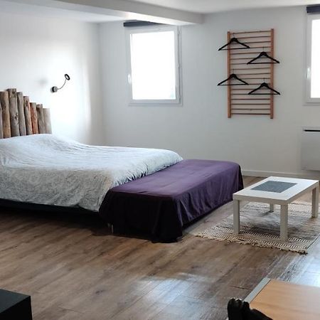 Studio Les Cadichons De La Grange Saint-Péray Eksteriør billede